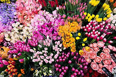 经典回归 THQ发布《时空英豪2：新起点》预告